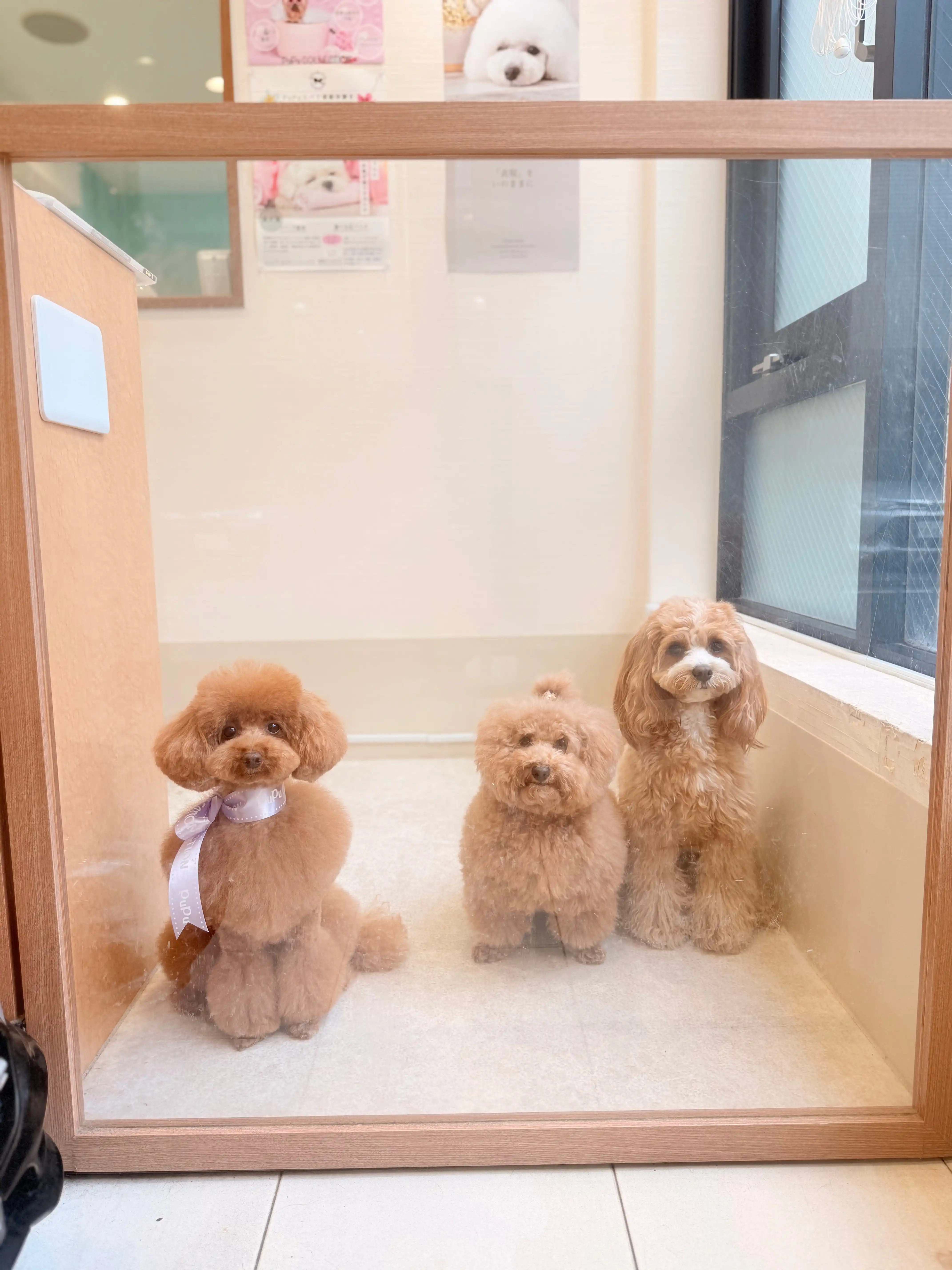 預かり保育