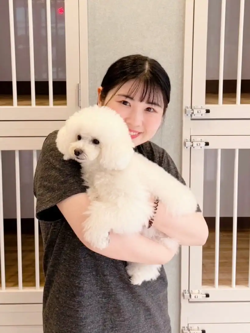 佐藤美友