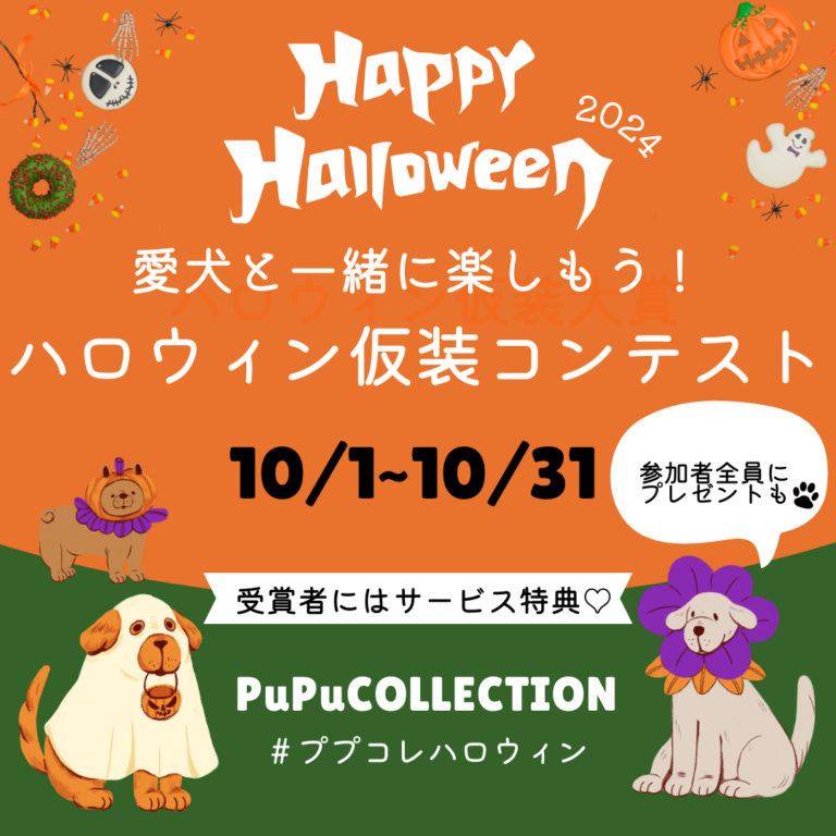 ハロウィン仮装コンテストのお知らせ