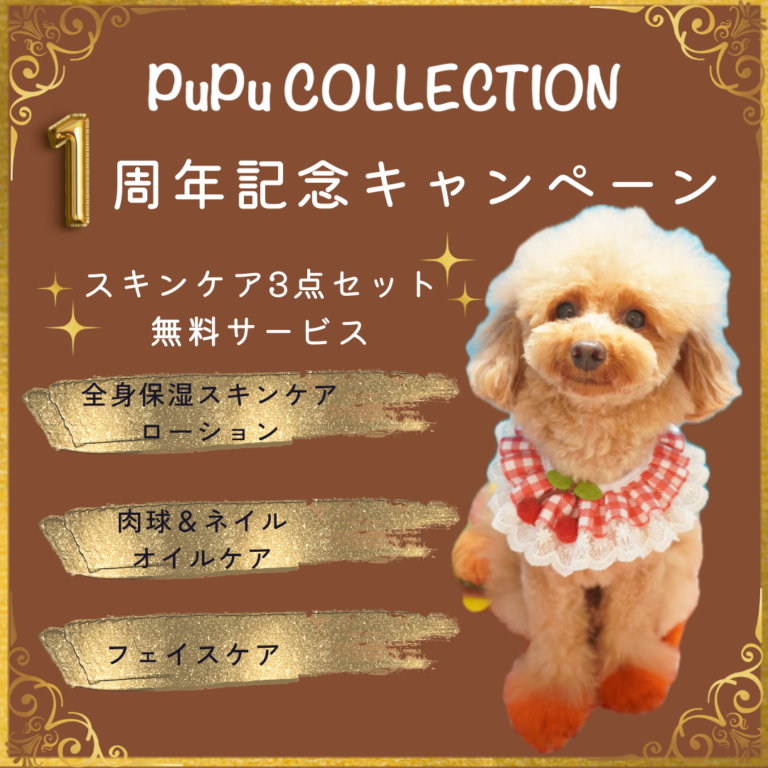 １周年キャンペーン☆