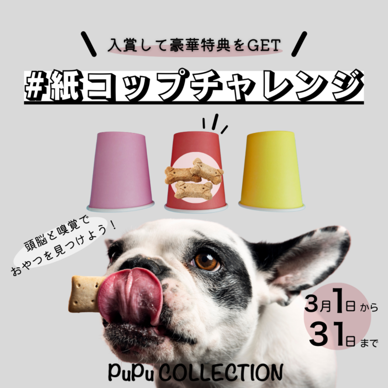 「#紙コップチャレンジ」開催のお知らせ
