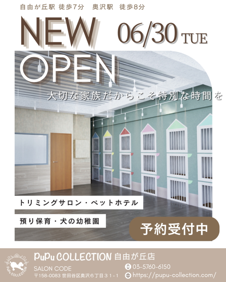 【感謝】PuPu COLLECTION 自由が丘店㊗️オープン