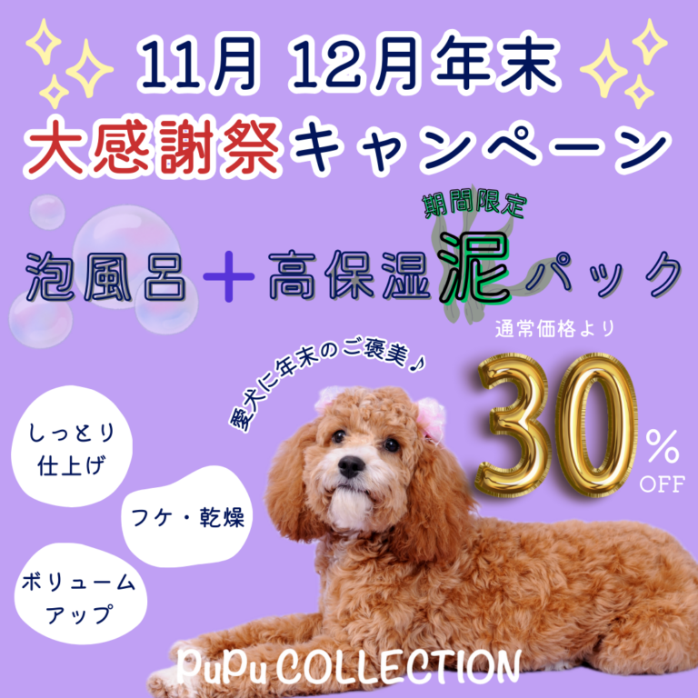 11月 12月キャンペーン★