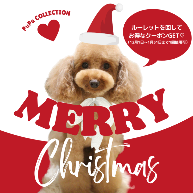 12月～1月キャンペーン☆