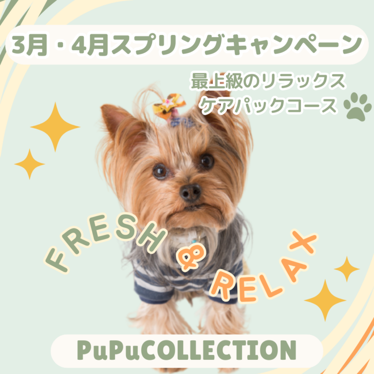 春のキャンペーン☆