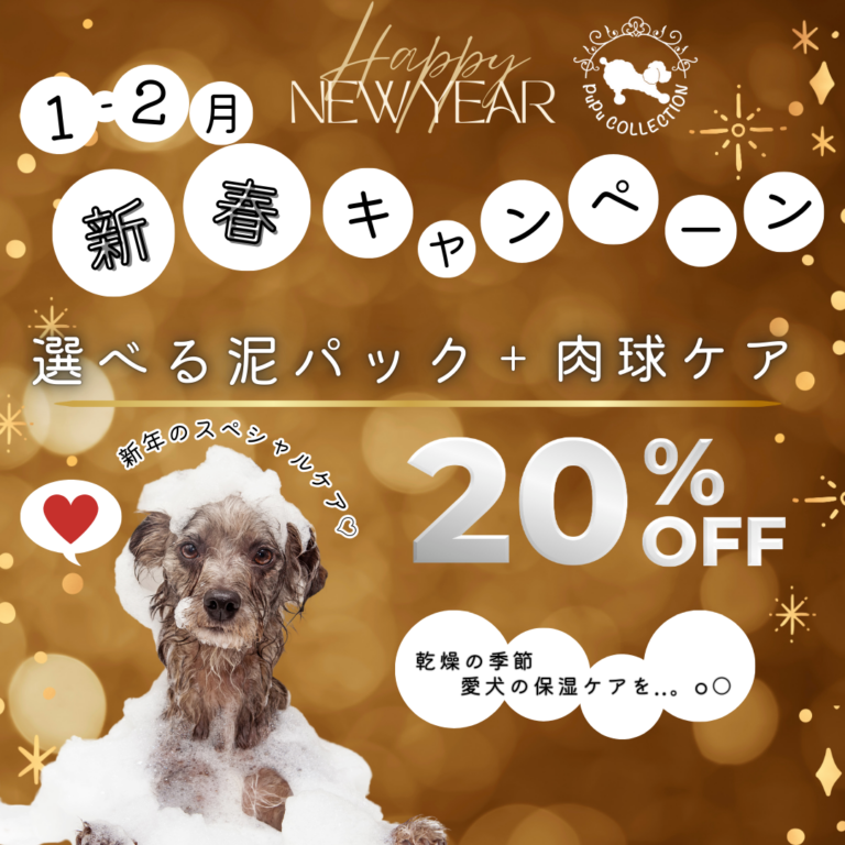 1月・2月キャンペーン★