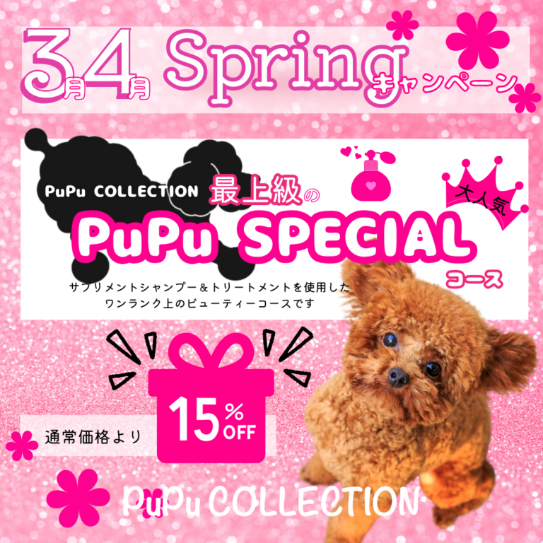🌼3月4月キャンペーン🌼