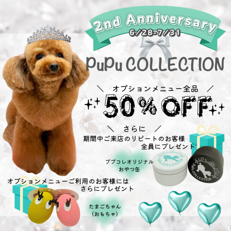 2nd Anniversary　⭐オプションメニュー全品50％OFF⭐