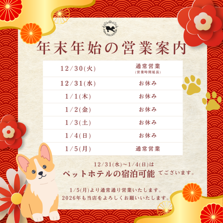 【年末年始】営業のお知らせ⋆͛📢⋆