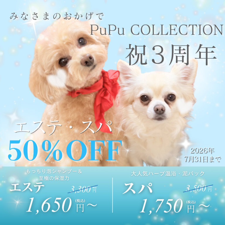 3rd Anniversary　エステ・スパ50％OFF