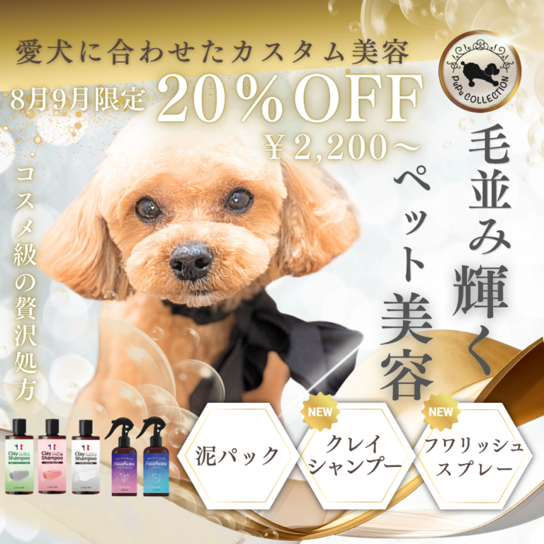 ✨8月9月キャンペーン✨