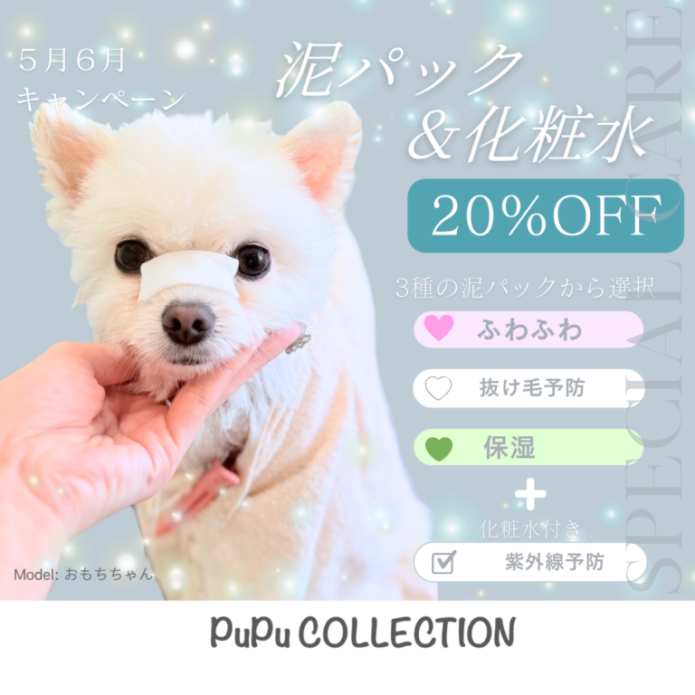 🌿5月6月キャンペーン🌿