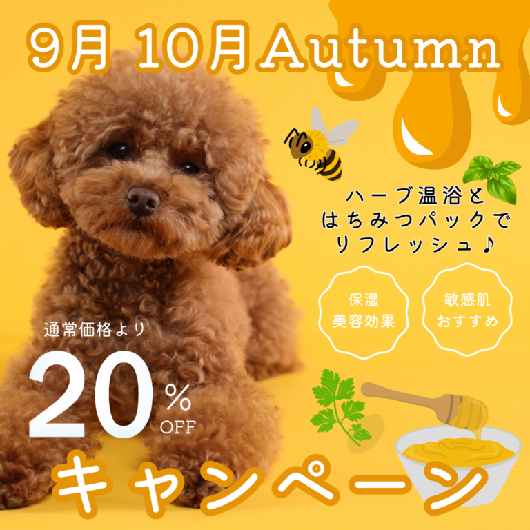 ９月 10月キャンペーン♡