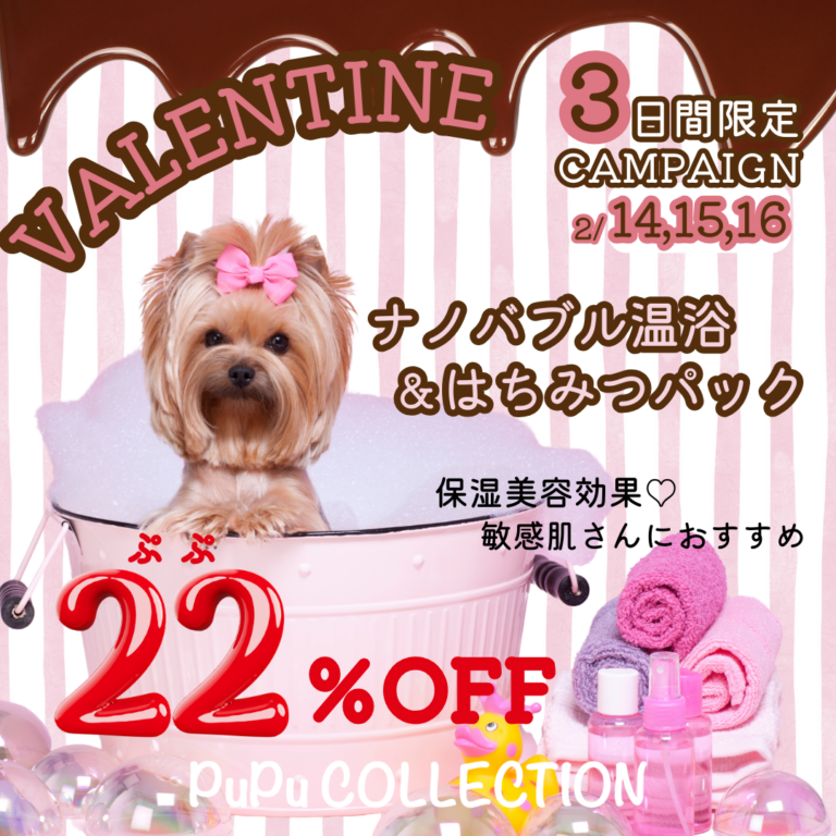 3日間限定♡PuPu VALENTINEのお知らせ