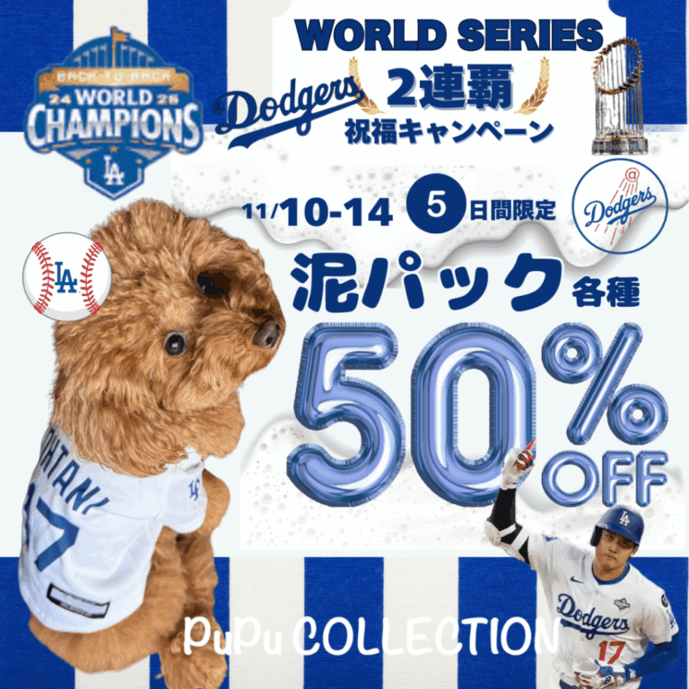 💙⚾️Dodgers World Seriesキャンペーン⚾️💙