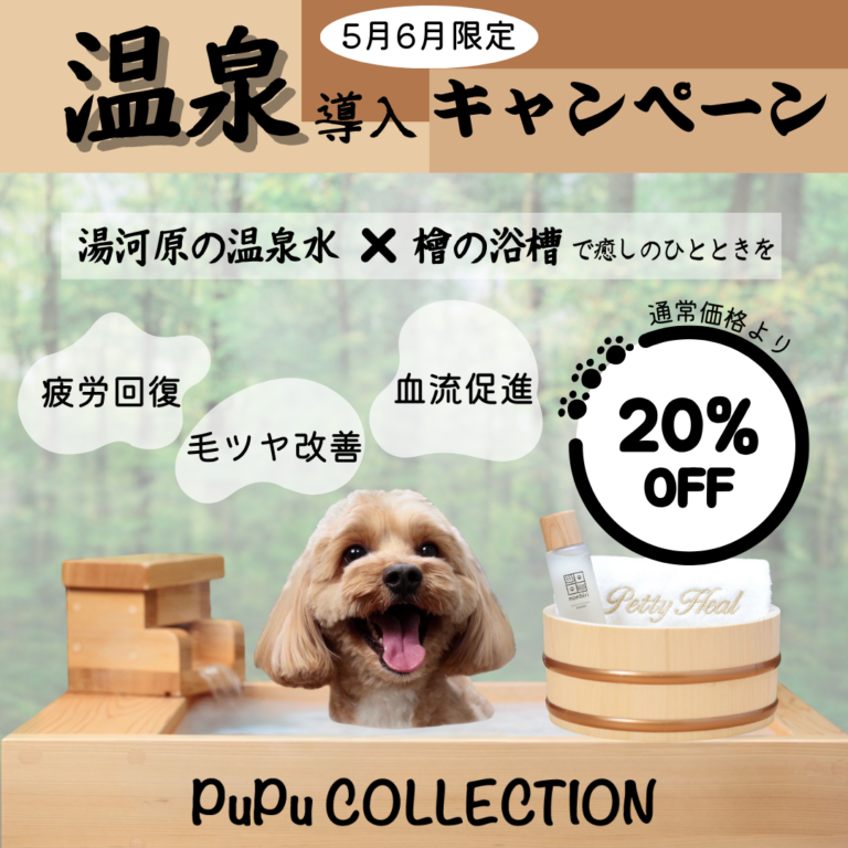5月・6月キャンペーン♥