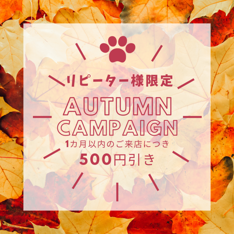 リピーター様限定キャンペーン☆