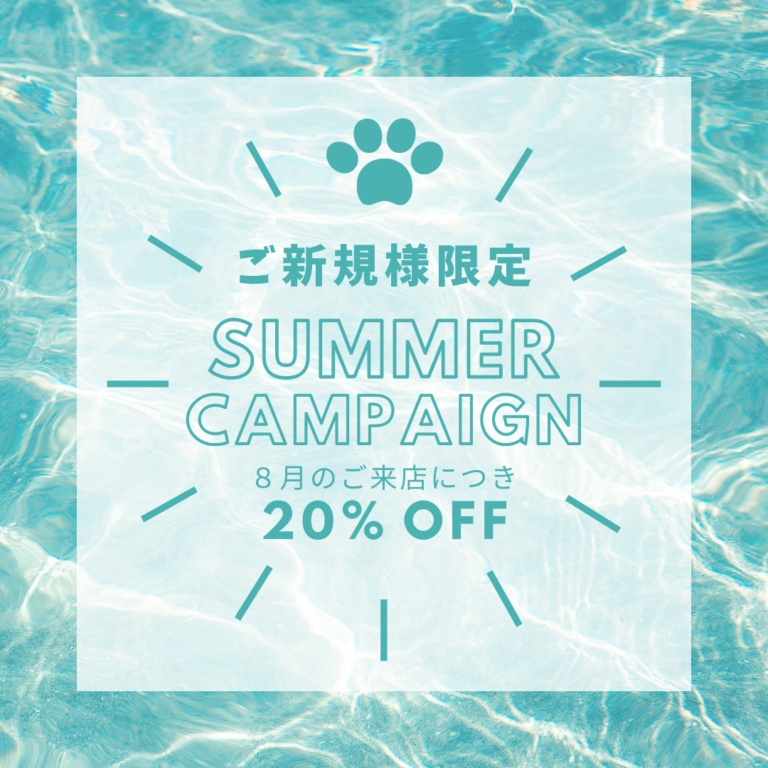 真夏のキャンペーン☆