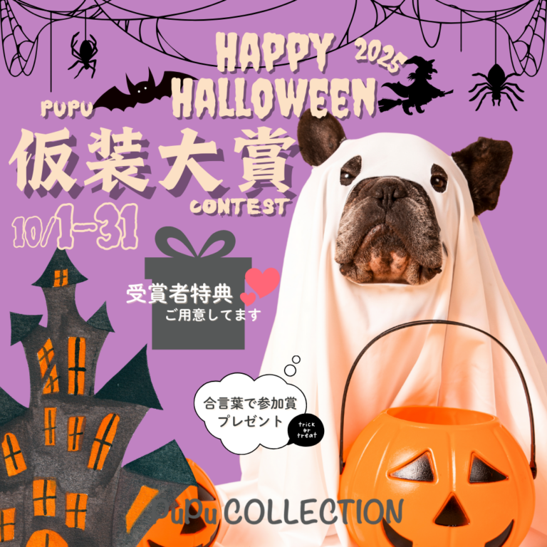HALLOWEEN仮装大賞イベント開催のお知らせ👻