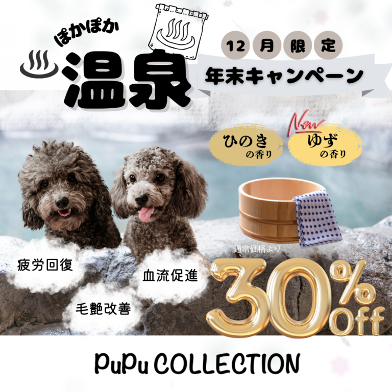 🎄12月限定キャンペーン🎄