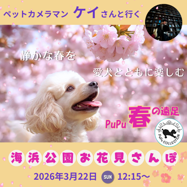 第2回【PuPu遠足】お台場でお花見遠足🌸