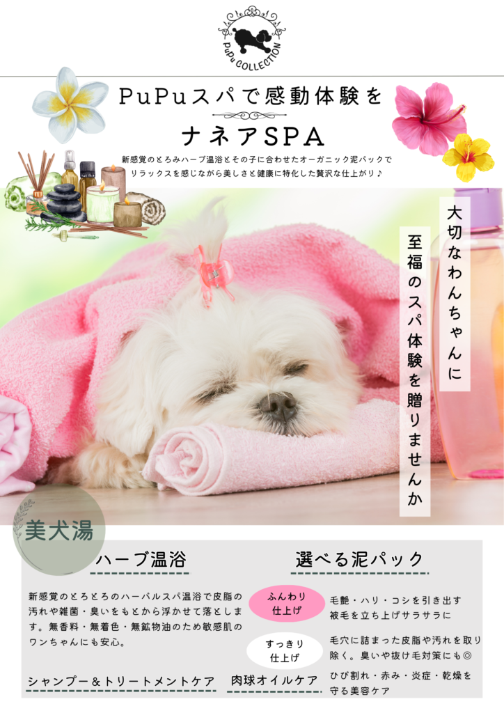 スパメニュー導入キャンペーン