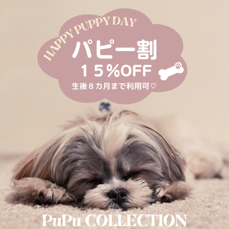 パピー割♡