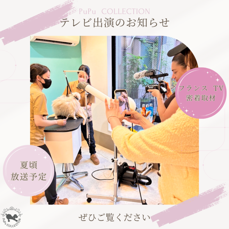 「フランス」テレビ番組出演のお知らせ