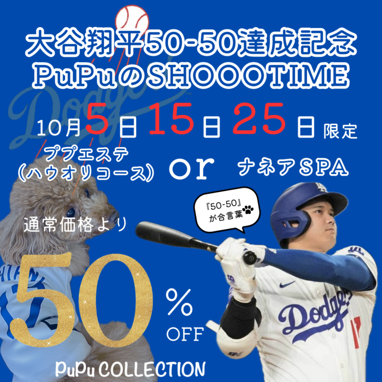 💙⚾️大谷翔平選手50-50達成記念キャンペーン⚾️💙