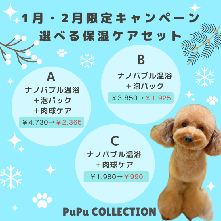 お正月キャンペーン☆