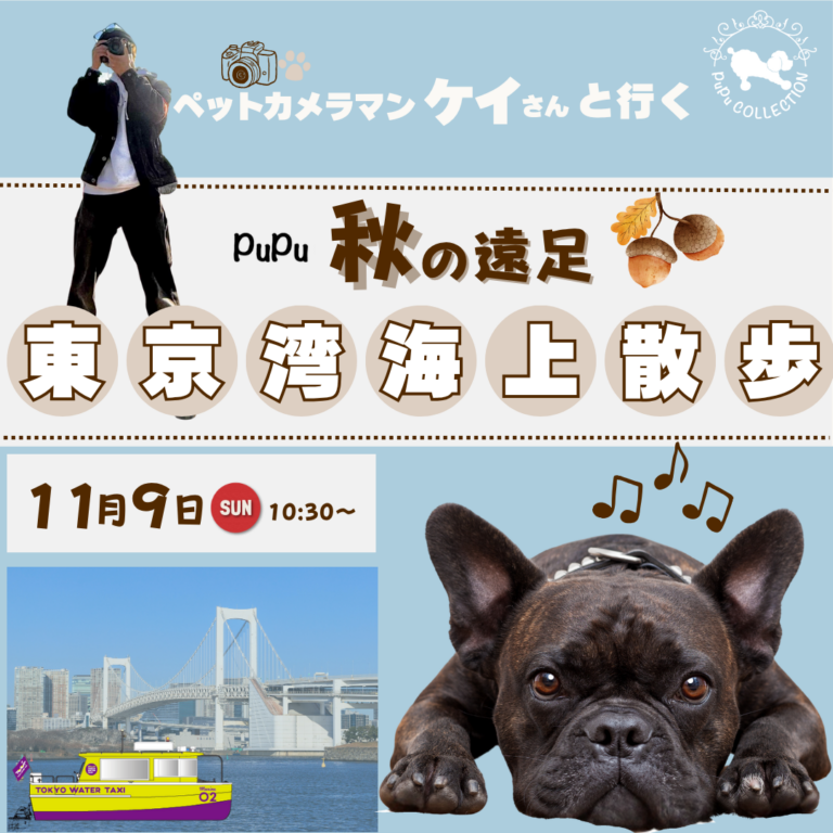 ペットカメラマンさんと行く秋の遠足開催のお知らせ