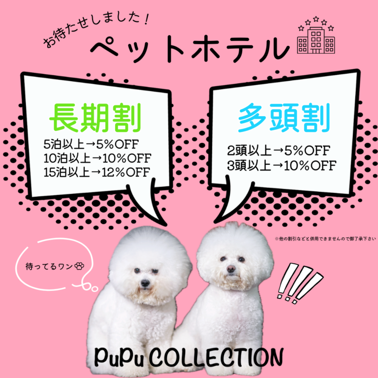 お得な割引キャンペーン♡