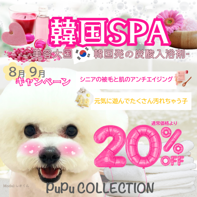 🍉8月.9月キャンペーン🍉