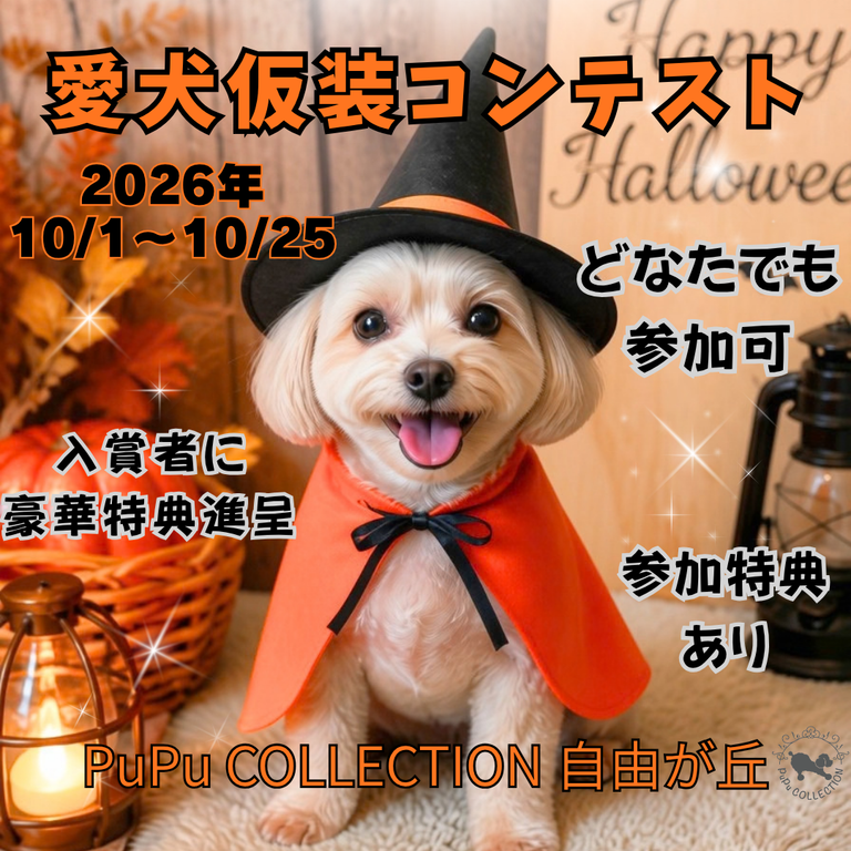 🎃👻 HALLOWEEN 仮装大会 👻🎃
