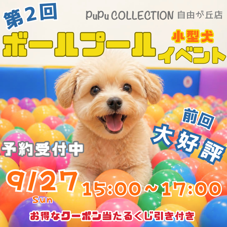 第２回ボールプール開催🥎