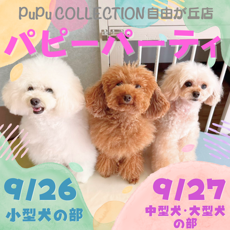 パピーパーティー開催👶🏻🎀