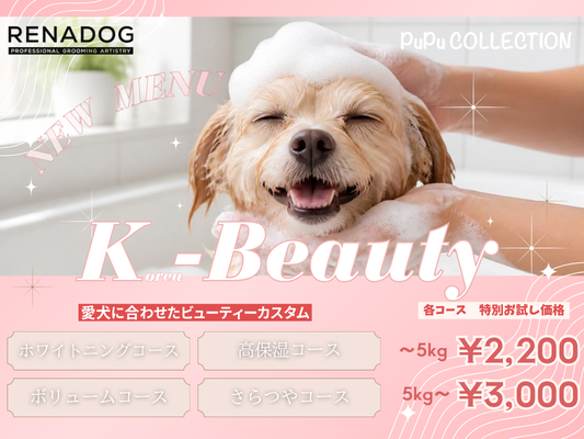 10月・11月限定 ✨ K-Beauty お試しキャンペーン ✨